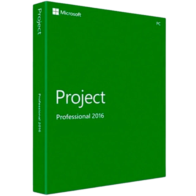 Project 2016 Professional (1 PC, OEM)