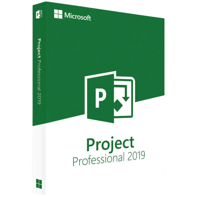 Project 2019 Professional (1 PC, OEM)