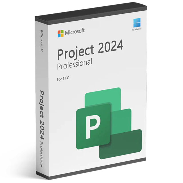 Project 2024 Professional (BIND ACCOUNT)