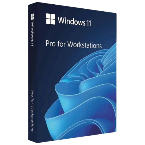 Windows 11 Pro Workstation (1 PC, OEM)