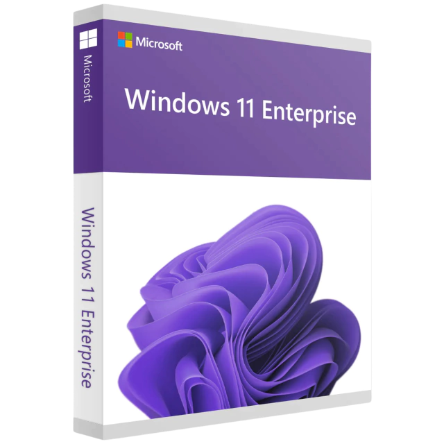 Windows 11 Enterprise (1 PC, OEM)